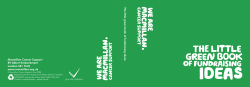 The little green book of fundraising ideas