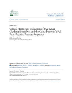 Critical Heat Stress Evaluation of Two