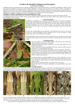 A Guide to the Shropshire Orthoptera and Dermaptera