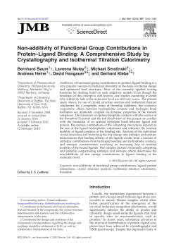 Non-additivity of Functional Group Contributions in Protein&ndash;Ligand