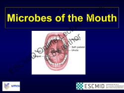 Microbes of the Mouth