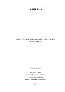 strategy and risk management of case companies 2017