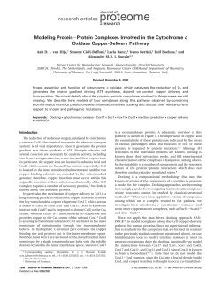 Modeling Protein-Protein Complexes Involved in the Cytochrome c