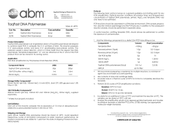 TaqFast DNA Polymerase