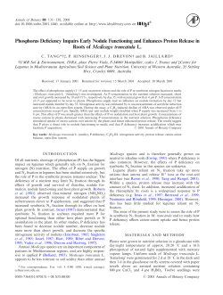 Phosphorus Deficiency Impairs Early Nodule