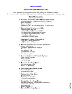Chapter Thirteen Societal (Meta) System Development
