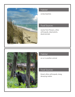 Habitat Food Sources Habitat Food Sources