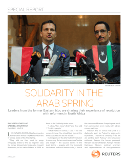 solidarity in the arab spring - News Analysis Graphics