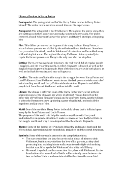Literary Devices in Harry Potter Protagonist