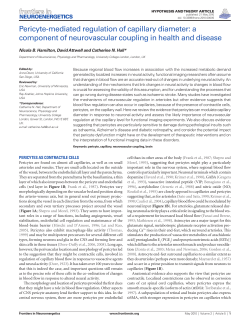Pericyte-mediated regulation of capillary diameter