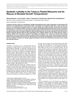 Synthetic Lethality in the Tobacco Plastid Ribosome