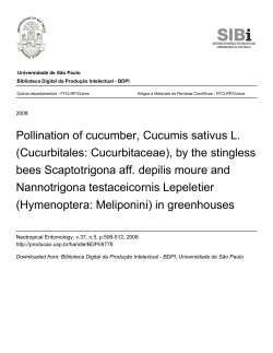 Pollination of cucumber, Cucumis sativus L.