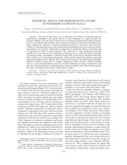 maternal traits and reproductive effort in northern elephant seals