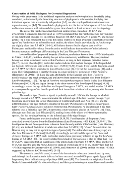 Construction of Felid Phylogeny for Corrected Regressions