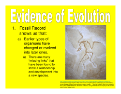 1. Fossil Record shows us that: