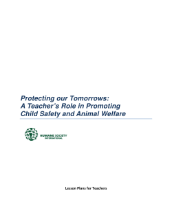 Protecting our Tomorrows: A Teacher`s Role in Promoting Child