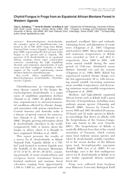 Chytrid Fungus in Frogs from an Equatorial African Montane Forest