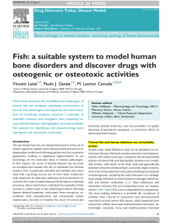 a suitable system to model human bone disorders