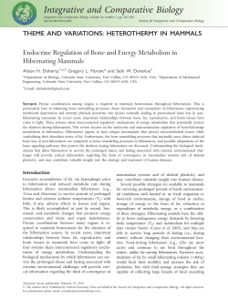 Endocrine Regulation of Bone and Energy Metabolism in