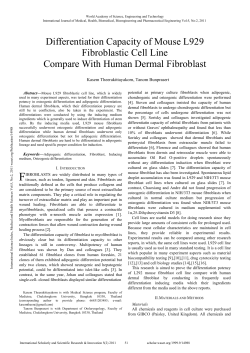 Differentiation Capacity of Mouse L929 Fibroblastic Cell Line