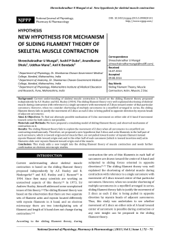 new hypothesis for mechanism of sliding filament