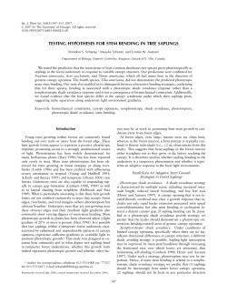 TESTING HYPOTHESES FOR STEM BENDING IN TREE SAPLINGS