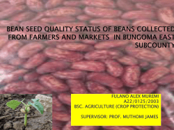 Bean seed quality status of beans collected from