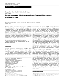 Carbon monoxide dehydrogenase from Rhodospirillum rubrum