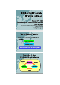 Intellectual Property Strategy in Japan