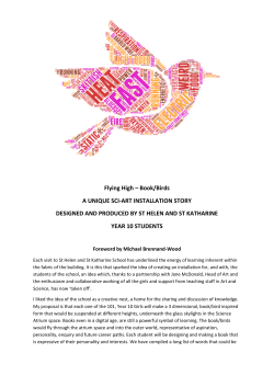 Flying High &ndash; Book/Birds A UNIQUE SCI