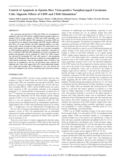 Control of Apoptosis in Epstein Barr Virus