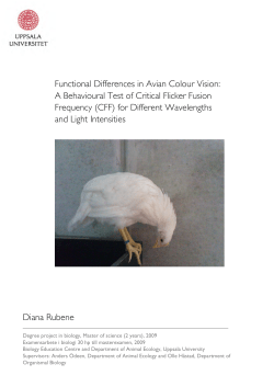 Functional Differences in Avian Colour Vision: A Behavioural Test of