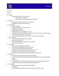 Unit 3 Ocean Life