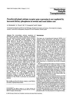 Parathyroid gland calcium receptor gene expression is not regulated