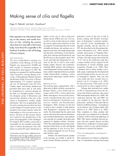 Making sense of cilia and flagella