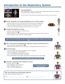 Introduction to the Respiratory System