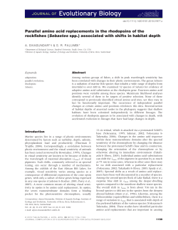 Parallel amino acid replacements in the rhodopsins of the rockfishes