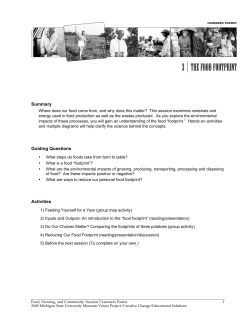 Summary Guiding Questions Activities