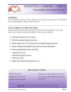 Support Group Lessons #5