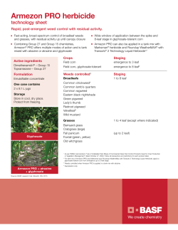 Armezon PRO herbicide - AgSolutions.ca