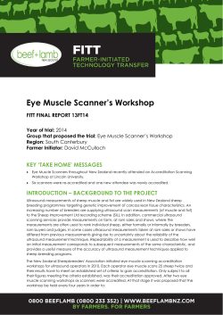 Eye Muscle Scanner`s Workshop