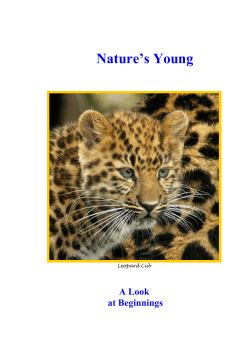 Fish have gills for breathing underwater