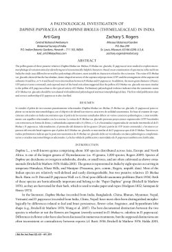 A palynological investigation of Daphne
