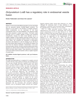 Dictyostelium LvsB has a regulatory role in endosomal vesicle fusion