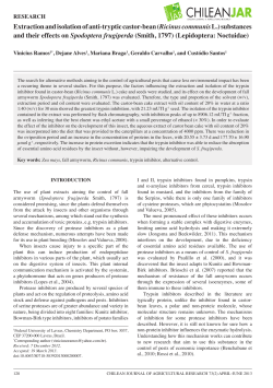 Extraction and isolation of anti-tryptic castor-bean (Ricinus