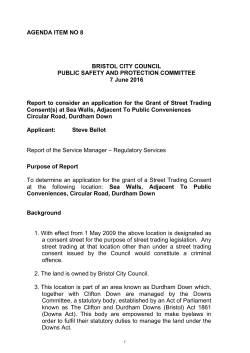 AGENDA ITEM NO 8 BRISTOL CITY COUNCIL PUBLIC SAFETY