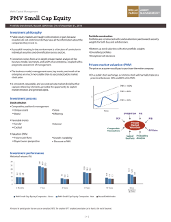 PMV Small Cap Equity - Wells Capital Management