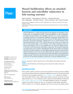Mussel biofiltration effects on attached bacteria and unicellular