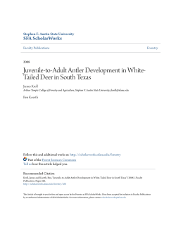 Juvenile-to-Adult Antler Development in White
