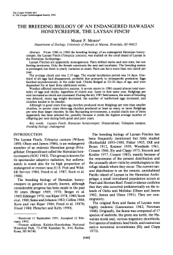 The Breeding Biology of an Endangered Hawaiian Honeycreeper